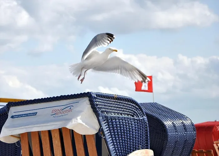 Vier Jahreszeiten 公寓式酒店 贝塞尔